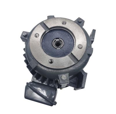 China Special motor for AEEH90L-4 vertical shaft oil pump for sale