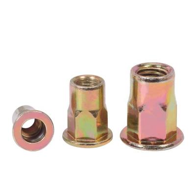 China Connection Hot Sale Factory 100 PCS Carbon steel yellow zinc plated Flat Head Inside Outside Hexagonal Semi-hex Hexagonal Rivet Nuts for sale