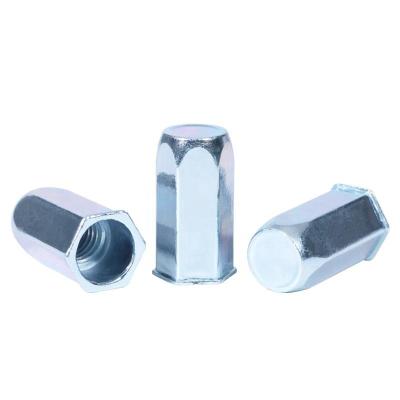 China Connection Zinc plated carbon steel full hex blind rivet nut flat head reduce head rivet nut All hexagon rivet nuts for sale