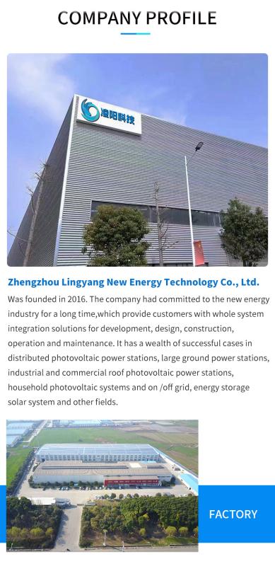 Verified China supplier - Zhengzhou Lingyang New Energy Technology Co., Ltd.