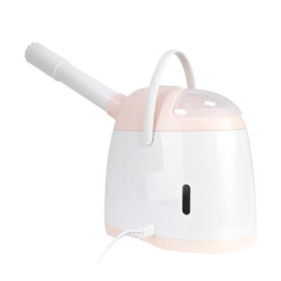 China Home Use Moisturizer Facial Personal Care Moisturizer Face Steamer Nano Electric Rose Humidifier Face Beauty Ionic Facial Steamer for sale