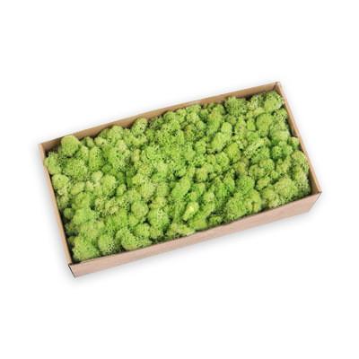 China Natural Moss Package for Easter House Decoration Customized Color Easter Occasion for sale