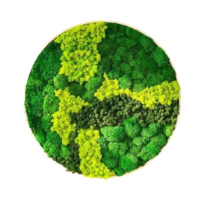 China Professional Circle Moss Plant Wall Frame Decor for Bedroom Natural Plant Design for sale