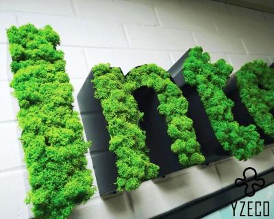 China Customized 3D Letters Logo Business Sign for Office Moss Wall Sign Art Decoration for sale