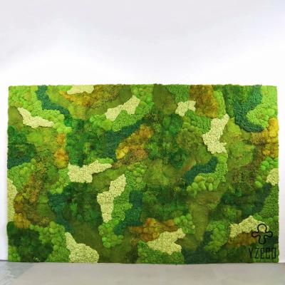 China Simulated Plant Wall Moss Wall Preserved 100% Natural Real Moss for Indoor Background for sale