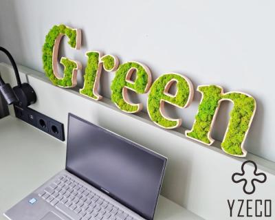 China Empresa Custom Moss Wall Sign con letras en 3D y Moss de renos Tiempo de vida 8 años en venta