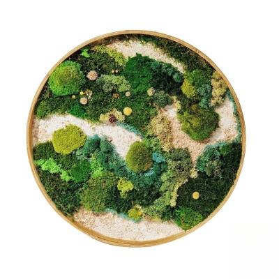 China Unique Handmade Wall Moss Art Preserved Moss Wall Picture Frame for Bedroom 20cm-120cm for sale