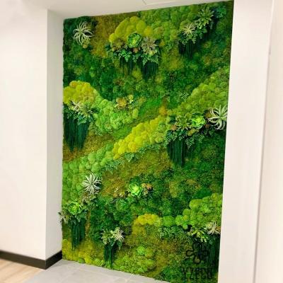 China Customized Logo Accepted Preserved 100% Natural Real Moss Wall Art for Home Decor for sale