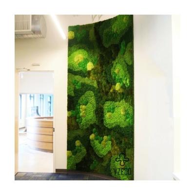 China Preserved 100% Natural Moss Wall Art in Customized Colors for Living Room Renovation for sale