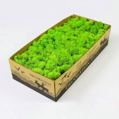 China Real Touch Preserved Moss Lichen Reindeer Moss for Decoration Acceptable OEM ODM 500G for sale