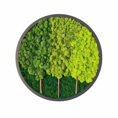 China Preserved Moss Wall Art Customized Size for Natural Plant Lovers' Homes and Offices for sale