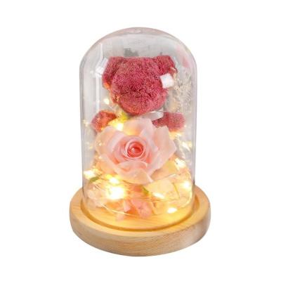 China Valentine's Day Gift Box Glass Cover Moss Bear with Long Life and Everlasting Charm for sale