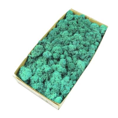 China Reindeer Moss 500G in Multiple Colors for Eco-Friendly and Natural Moss Decorations for sale