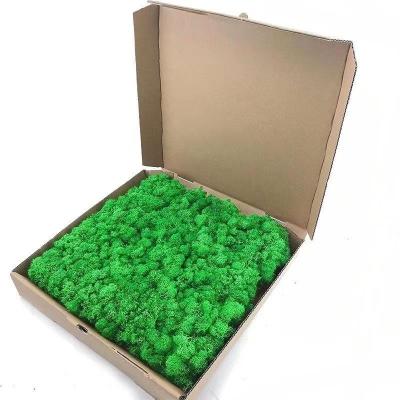 China Künstlerisches Design Grüne Wandplatten aus 100% echtem Moss für Innenräume zu verkaufen