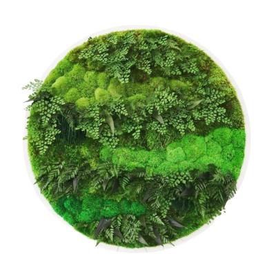 China Customized Logo Accepted Round Moss And Cork Artificial Moss Wall For Room Decoration for sale