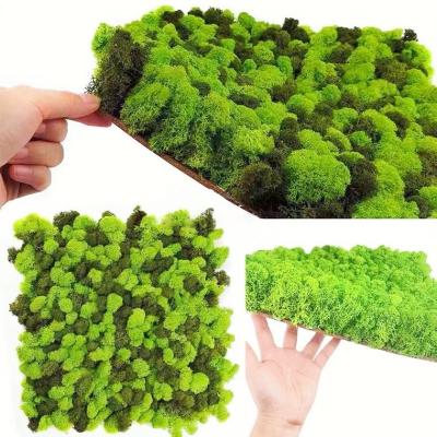 China 100% Real Preserved Moss Customized 100*100cm Artificial Moss Panel for House Decor for sale