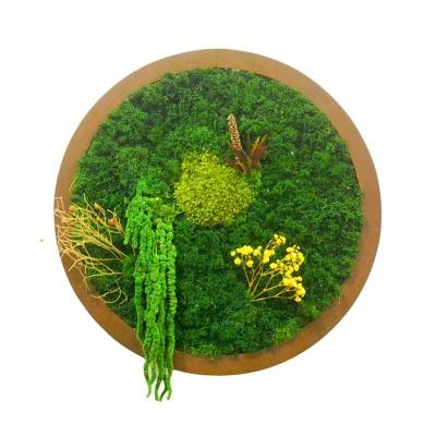 China Long Lasting Real Natural Moss Wall Hanging Frame Perfect for Living Room Decoration for sale