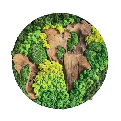 China Stabilized Natural Moss Wall Art Frame in Customized Colors for Home and Office Decor for sale