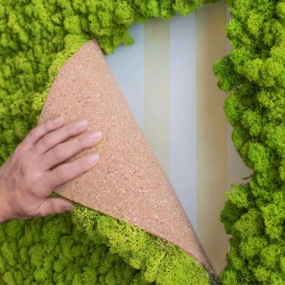 China 100% Real Preserved Moss Wall Sheet Perfect for April Fool's Day Decoration and Indoor for sale