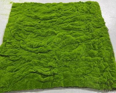 China Alfombra de fondo de césped de musgo emulado verde para decoración exterior en venta