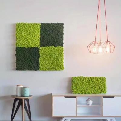 China 100% Real Preserved Moss Wall Sheet Colorful Living Reindeer Plants for Home Decoration for sale