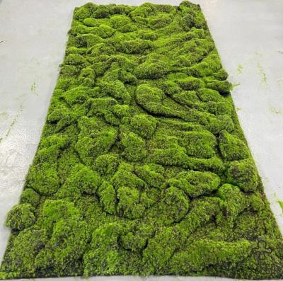 China Soft Moss Grass Fabric Artificial Grass Moss Carpet Moss Lawn For Bonsai Decoration for sale