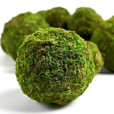 China Artificial Green Moss Ball for Hotel Conference Decor Various Size Moss and Foam for sale