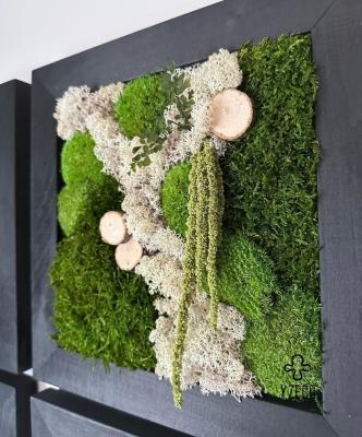 China Indoor Decor Hang Square Preserved Moss Wall Art Frame with Customized Logo 30*30cm for sale