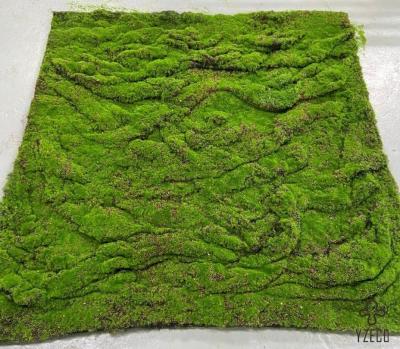 China Home Garden Greening Decoration 1M*1M Simulation Lawn Lichen Grass Barks with Moss for sale