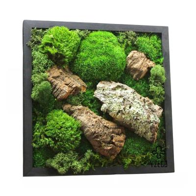 China Real Green Moss Art Preserved Moss Wall Frame for Home and Office Decor Made to Order for sale