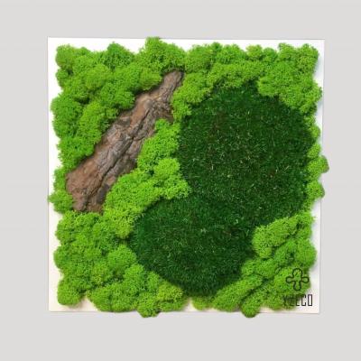 China Long Lasting Moss 2024 Square Moss Wall Art for Customized Logo Room Decoration for sale