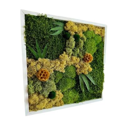 Chine Des plantes réelles 30*30cm carrées préservées panneaux de mousse cadre décoration de maison unique à vendre