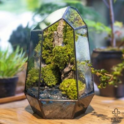 China 8 Years Life Time Simple Preserved Moss Terrarium for Customized Logo Wedding Decoration for sale