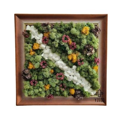 China Real Preserved Moss Wall Art Frame for Garden Decor No Maintenance and Natural Beauty for sale