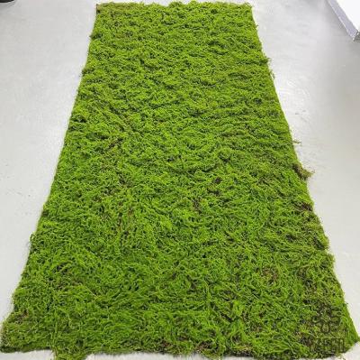 China Customized Size Artificial Black Dot Bottom Moss Sheet for Landscape Design Project for sale