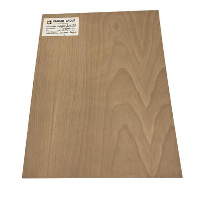 China 6mm 10mm 18mm Modern Cut Natural Beech Veneer Faced Decorative Fancy Plywood for sale