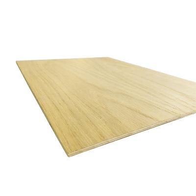 China Modern Natural 3mm Ash Tree Wood Veneered Fancy Plywood 18mm For Furniture for sale