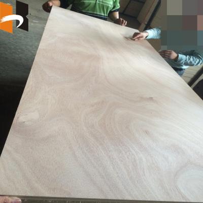 China 3.6mm x 915mm x 2135mm Modern MDF HDF Poplar Hardwood Core Door Skin Plywood for sale