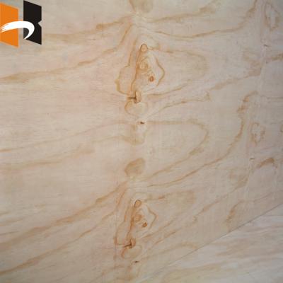 China Outdoor Best Price Packing Plywood Pine Face Used For Packing Grade for sale