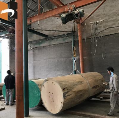 China Decorative Furniture Hardwood Eucalyptus Beech Birch Veneer Short Core Veneer Core Veneer for sale