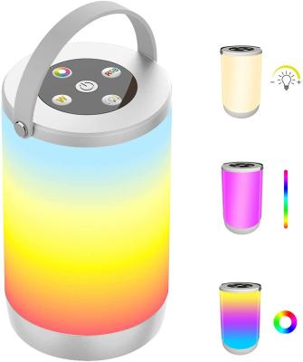 China RGB Color Changing Dimmable Warm White Light And Color Changing RGB Night Light Touch Bed Light Table Lamp for sale