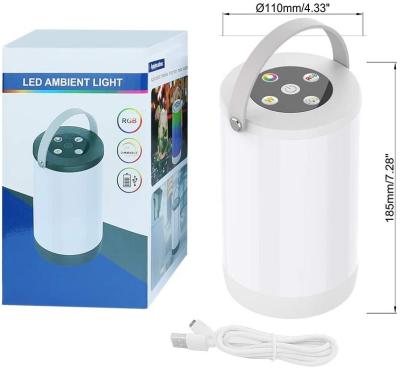 China Modern Rechargeable LED Touch Sensor Control Near Lamp Dimmable RGB Color Changing Table Lamp For Kids Baby for sale