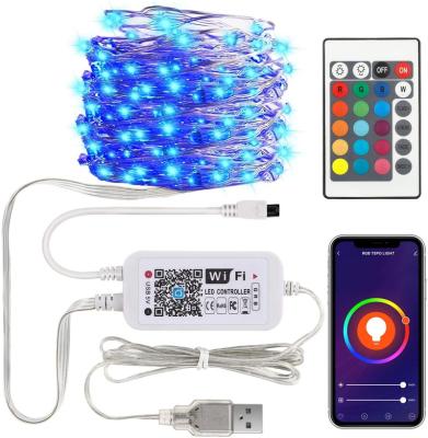 China Dreamcolor Garden Lights Work with Alexa Google Home 4 Smart Control Copper Wire String Lights (WiFi, Bluetooth, Control Box, Remote) for sale