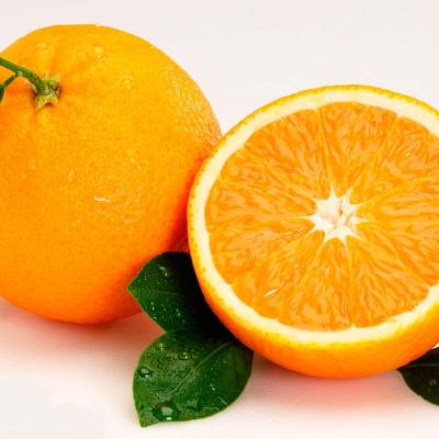 China Natural Juice Material Orange Bags Pulp Puree for sale