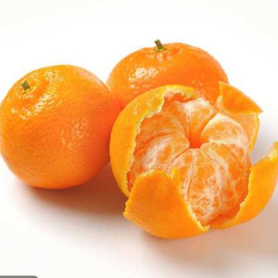 China Tangerine Full Size Bags in 18tins for sale