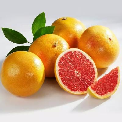 China Import High Quality Natural Nature Red Grapefruit Bags for sale