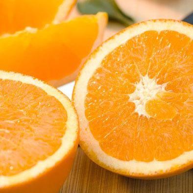 China Normal orange concentrate for sale