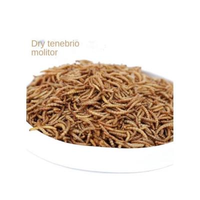 China Good Quality Mealworm Good Quality Dried Mealworm Fish Bird Snacks Poultry Feed Dried Mealworm Viable Price for sale