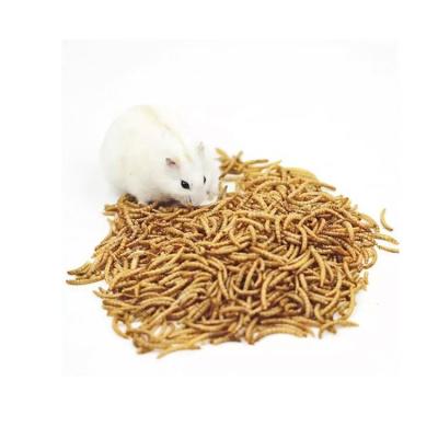 China Factory Direct Sales Viable Export-Grade Bulk Freeze-Dried High Protein Forage Dried Mealworms for sale