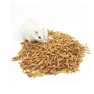 China Export-Grade Viable High-End Food Grade High Protein Forage Customized Bird Food Dried Mealworms for sale